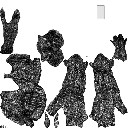 3D scanned woman standing casual, photorealistic archviz people for Enscape and SketchUp, wireframe top-down view