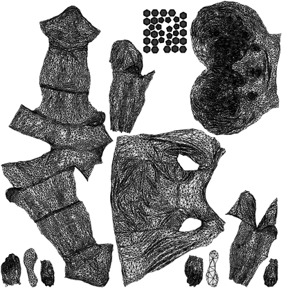 realistic 3D woman sport, scanned archviz people for Blender and 3ds Max, wireframe top-down view