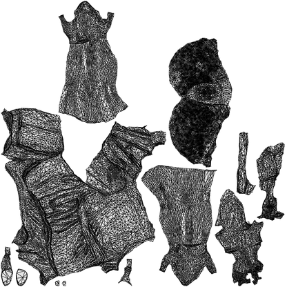 scanned 3D woman business standing, photogrammetry people for Enscape and V-Ray, wireframe top-down view