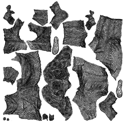 scanned 3D woman casual cycling, photogrammetry people for Enscape and V-Ray, wireframe top-down view