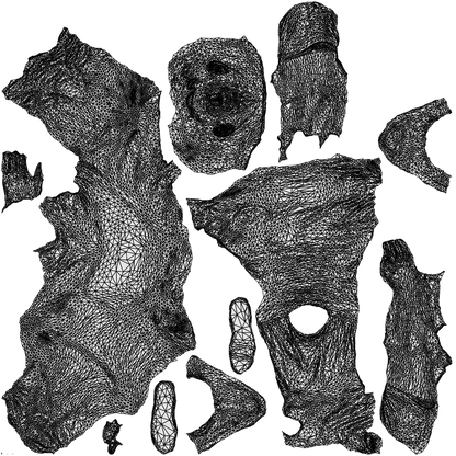 scanned 3D senior man casual sitting, photogrammetry people for Enscape and V-Ray, wireframe top-down view