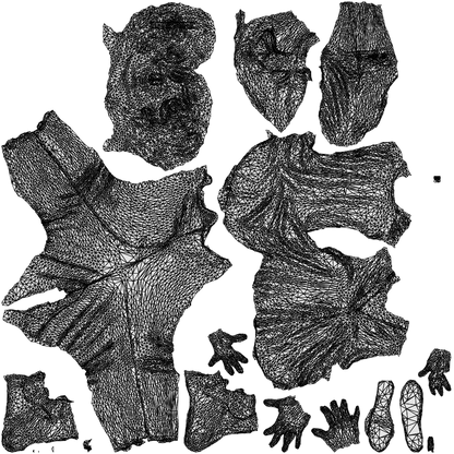 scanned 3D woman casual walking, photogrammetry people for Enscape and V-Ray, wireframe top-down view