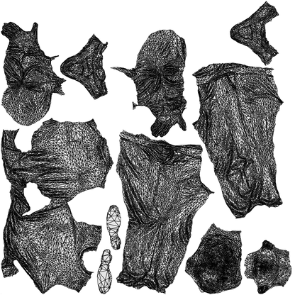 3D human model man casual standing, photogrammetry scanned person for archviz, wireframe top-down view