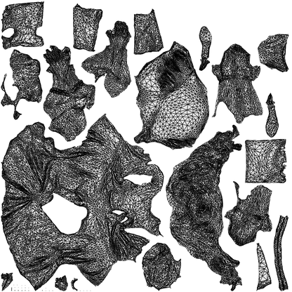 3D people model woman casual sitting, scanned human for 3ds Max rendering, wireframe top-down view