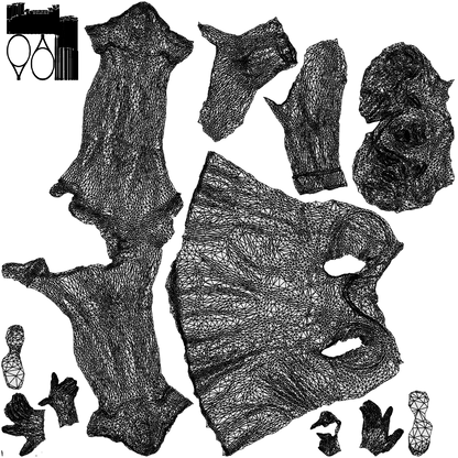3D scanned woman sport, photorealistic archviz people for Enscape and SketchUp, wireframe top-down view