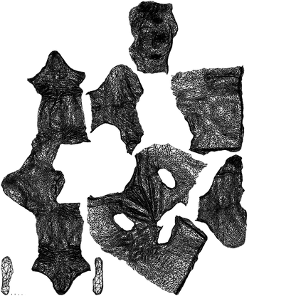 photogrammetry 3D man casual sitting, realistic human model archviz FBX, wireframe top-down view