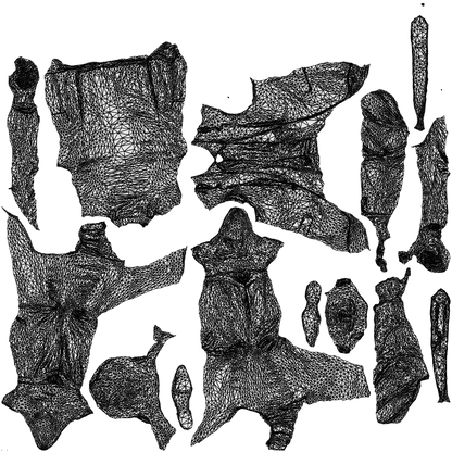 scanned 3D man business cycling, photogrammetry people for Enscape and V-Ray, wireframe top-down view