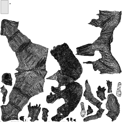 3D scanned woman walking, photorealistic archviz people for Enscape and SketchUp, wireframe top-down view