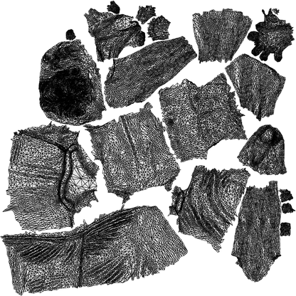 photogrammetry 3D man sport, realistic human model archviz FBX, wireframe top-down view
