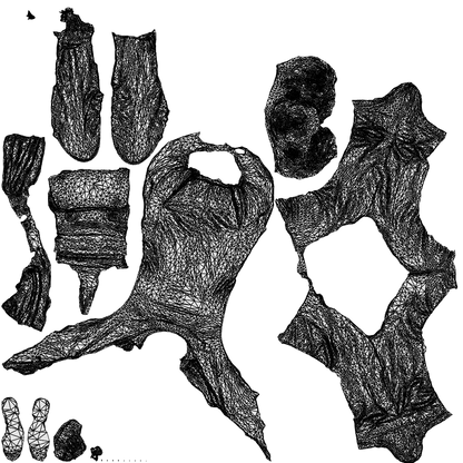 realistic 3D man business, scanned archviz people for Blender and 3ds Max, wireframe top-down view