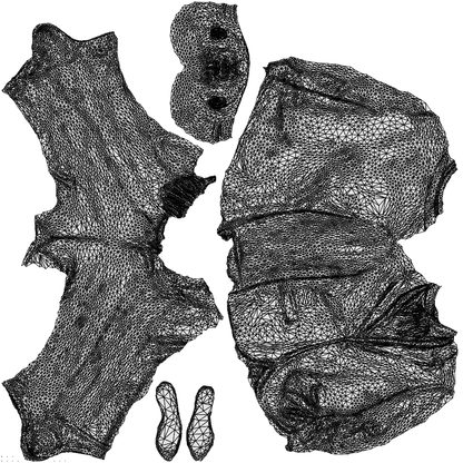 3D human model man business, photogrammetry scanned person for archviz, wireframe top-down view