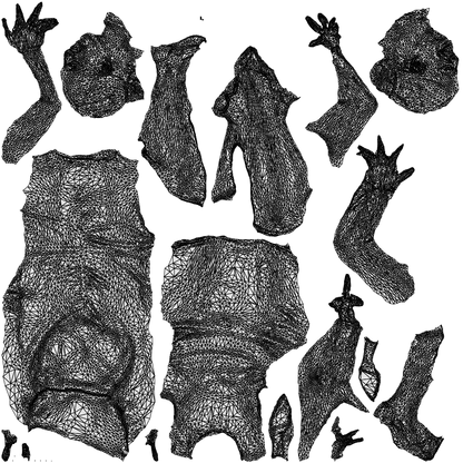 scanned 3D woman casual sitting, photogrammetry people for Enscape and V-Ray, wireframe top-down view