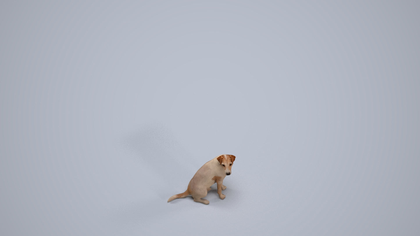 scanned 3D person misc, photogrammetry people for Enscape and V-Ray, back view render