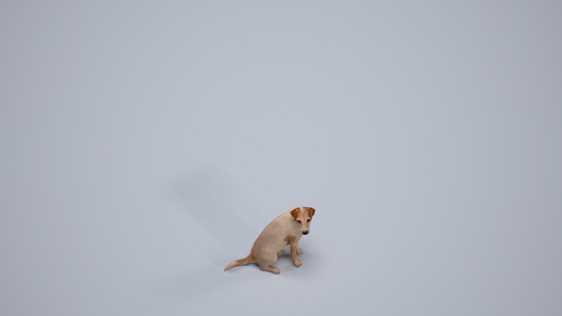 scanned 3D person misc, photogrammetry people for Enscape and V-Ray, back view render