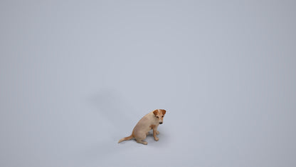 scanned 3D person misc, photogrammetry people for Enscape and V-Ray, back view render