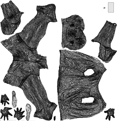 realistic 3D people man casual walking, render-ready for V-Ray and Corona, FBX OBJ, wireframe top-down view