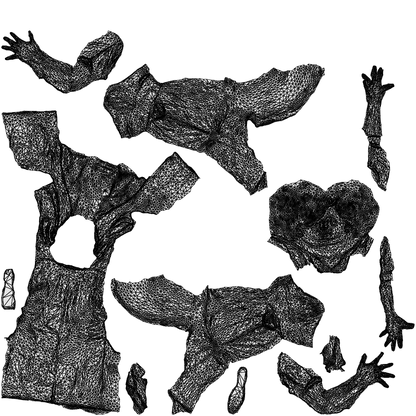 scanned 3D woman medical, photogrammetry people for Enscape and V-Ray, wireframe top-down view