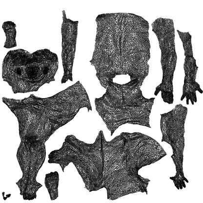 3D people model man pool, scanned human for 3ds Max rendering, wireframe top-down view