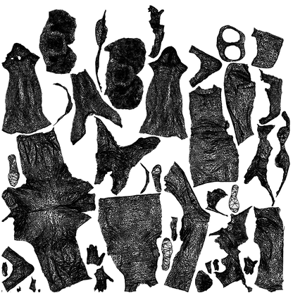 3D people model woman casual couple, scanned human for 3ds Max rendering, wireframe top-down view