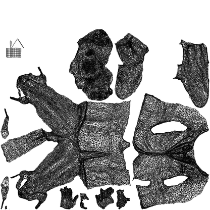 3D people model woman hospitality, scanned human for 3ds Max rendering, wireframe top-down view