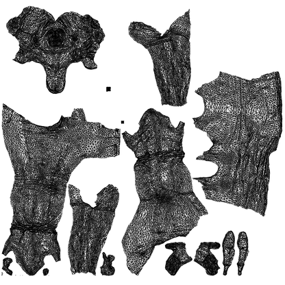 scanned 3D senior woman casual cycling, photogrammetry people for Enscape and V-Ray, wireframe top-down view
