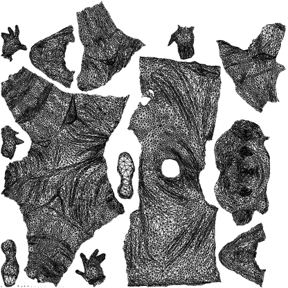 3D human model man sport, photogrammetry scanned person for archviz, wireframe top-down view