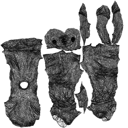 3D scanned man walking casual, photorealistic archviz people for Enscape and SketchUp, wireframe top-down view