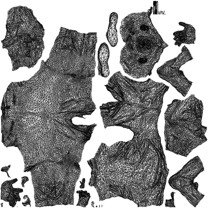 3D people model man casual business, scanned human for 3ds Max rendering, wireframe top-down view