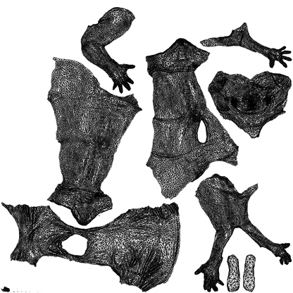 photogrammetry 3D woman sport, realistic human model archviz FBX, wireframe top-down view