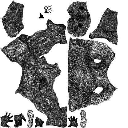 3D people model man sport, scanned human for 3ds Max rendering, wireframe top-down view