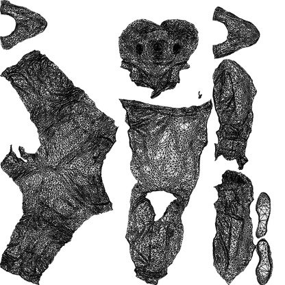 photogrammetry 3D man business standing, realistic human model archviz FBX, wireframe top-down view