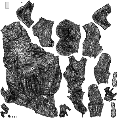 photogrammetry 3D senior woman sitting, realistic human model archviz FBX, wireframe top-down view