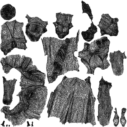 scanned 3D woman formal formalaffairs, photogrammetry people for Enscape and V-Ray, wireframe top-down view