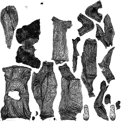 photogrammetry 3D woman mix, realistic human model archviz FBX, wireframe top-down view