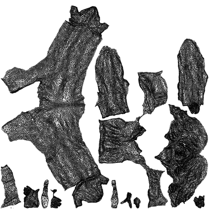 3D scanned woman walking business, photorealistic archviz people for Enscape and SketchUp, wireframe top-down view
