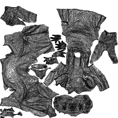 3D people model woman business, scanned human for 3ds Max rendering, wireframe top-down view