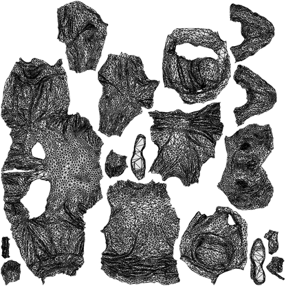 3D human model man casual sitting, photogrammetry scanned person for archviz, wireframe top-down view