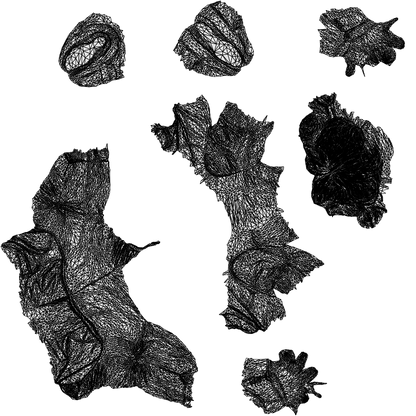 scanned 3D man business, photogrammetry people for Enscape and V-Ray, wireframe top-down view