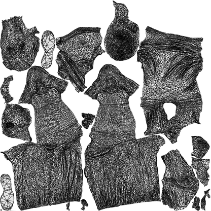 realistic 3D people man sport, render-ready for V-Ray and Corona, FBX OBJ, wireframe top-down view