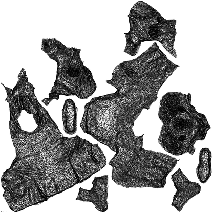 3D human model man business, photogrammetry scanned person for archviz, wireframe top-down view
