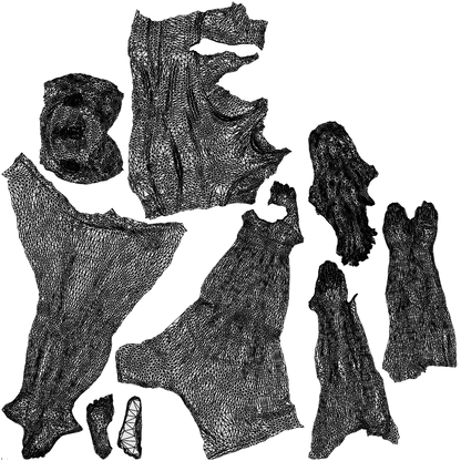 3D scanned woman sport, photorealistic archviz people for Enscape and SketchUp, wireframe top-down view