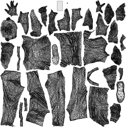 3D human model man casual walking, photogrammetry scanned person for archviz, wireframe top-down view