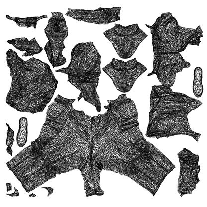 realistic 3D woman casual standing, scanned archviz people for Blender and 3ds Max, wireframe top-down view