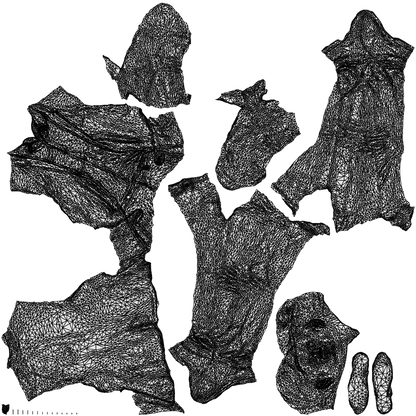 3D scanned man business, photorealistic archviz people for Enscape and SketchUp, wireframe top-down view