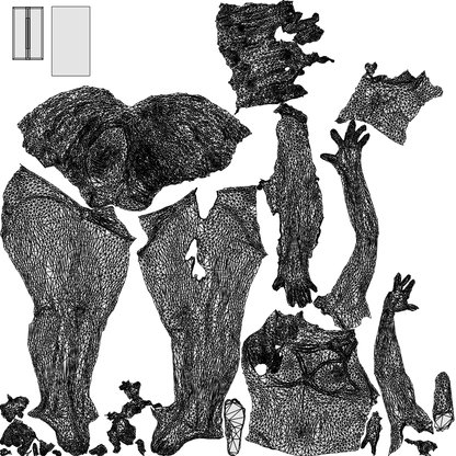 3D people model woman pool, scanned human for 3ds Max rendering, wireframe top-down view