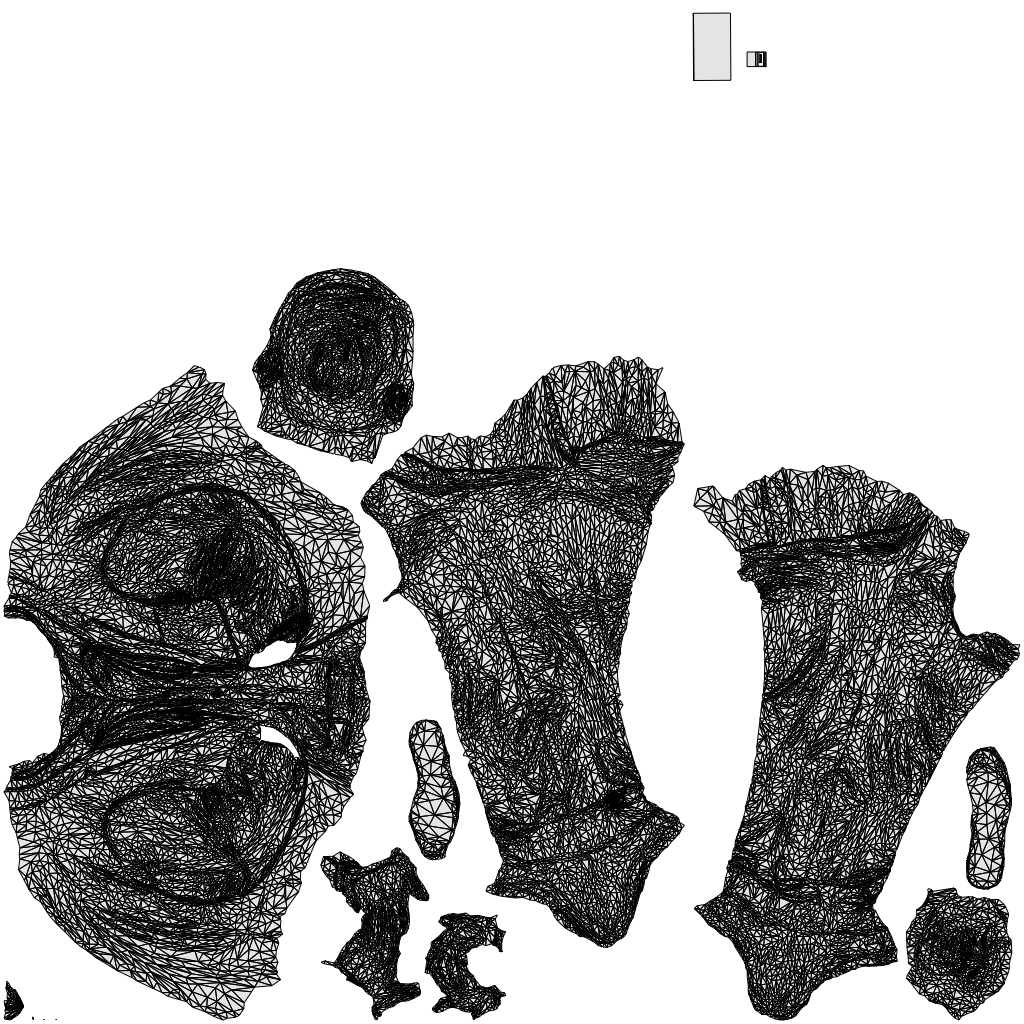 3D people model man business, scanned human for 3ds Max rendering, wireframe top-down view