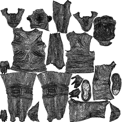 3D people model woman sport, scanned human for 3ds Max rendering, wireframe top-down view