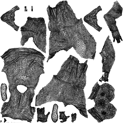 3D people model man casual business, scanned human for 3ds Max rendering, wireframe top-down view