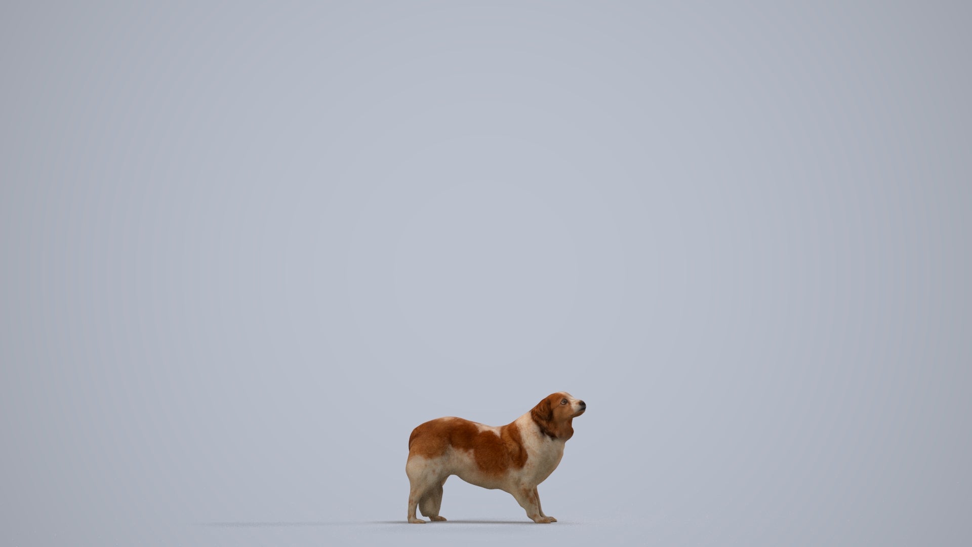 photogrammetry 3D person misc, realistic human model archviz FBX, side view render