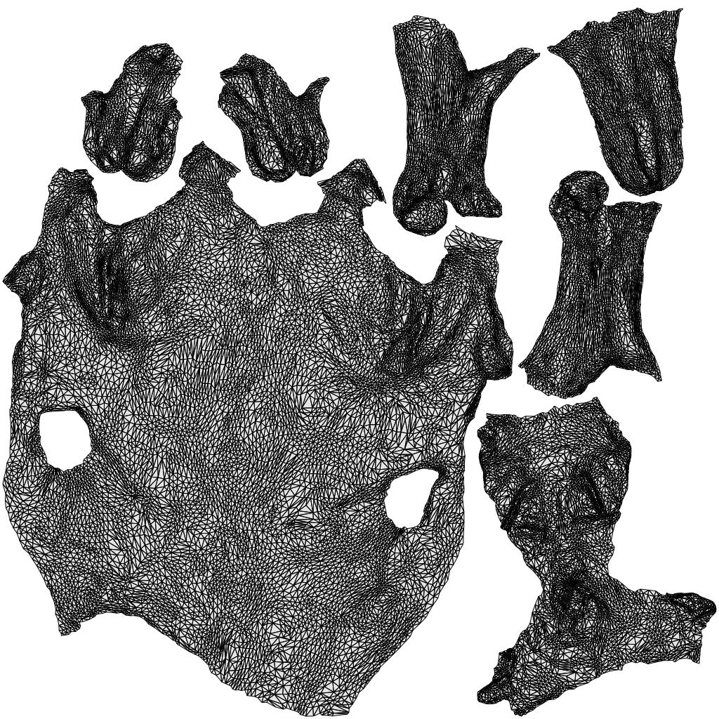 scanned 3D person misc, photogrammetry people for Enscape and V-Ray, wireframe top-down view